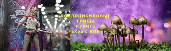 ПСИЛОЦИБИНОВЫЕ ГРИБЫ Ростов